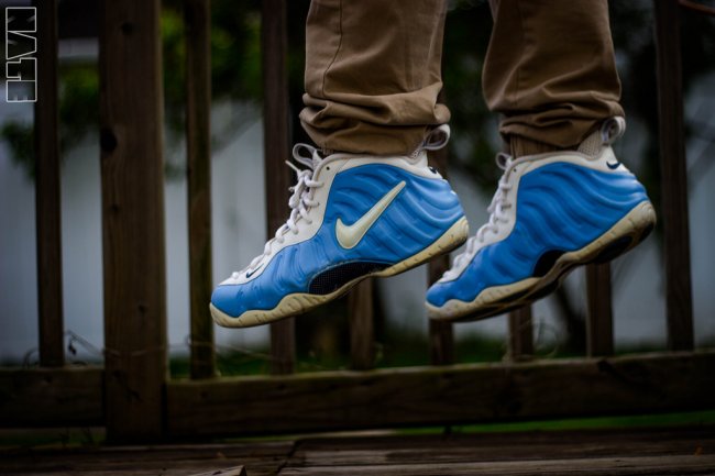 carolina foamposite pro