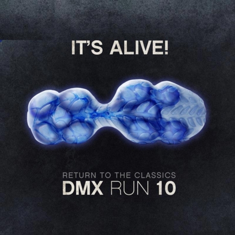 Reebok,DMX Run 10  顶级 DMX 缓震科技！Reebok DMX Run 10 将于本月回归！