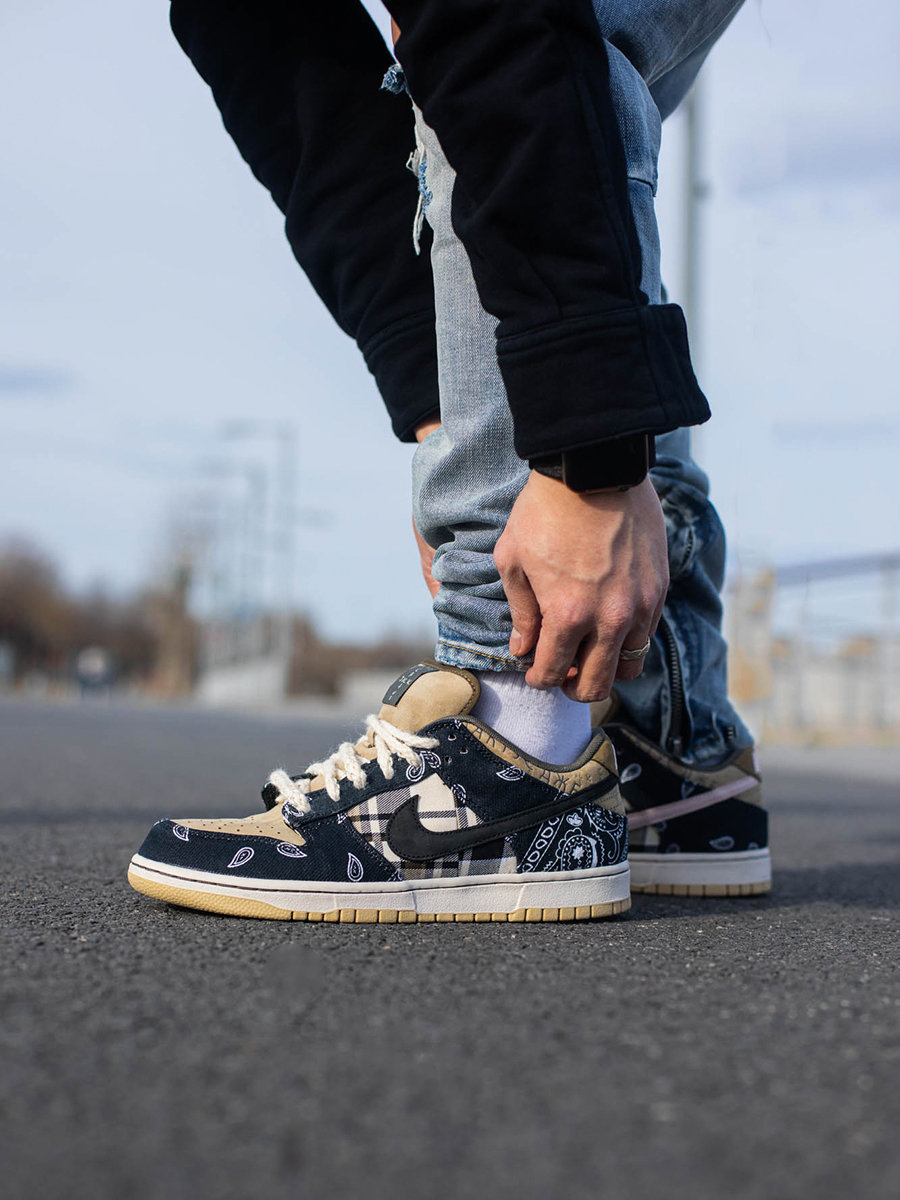 ts sb dunk