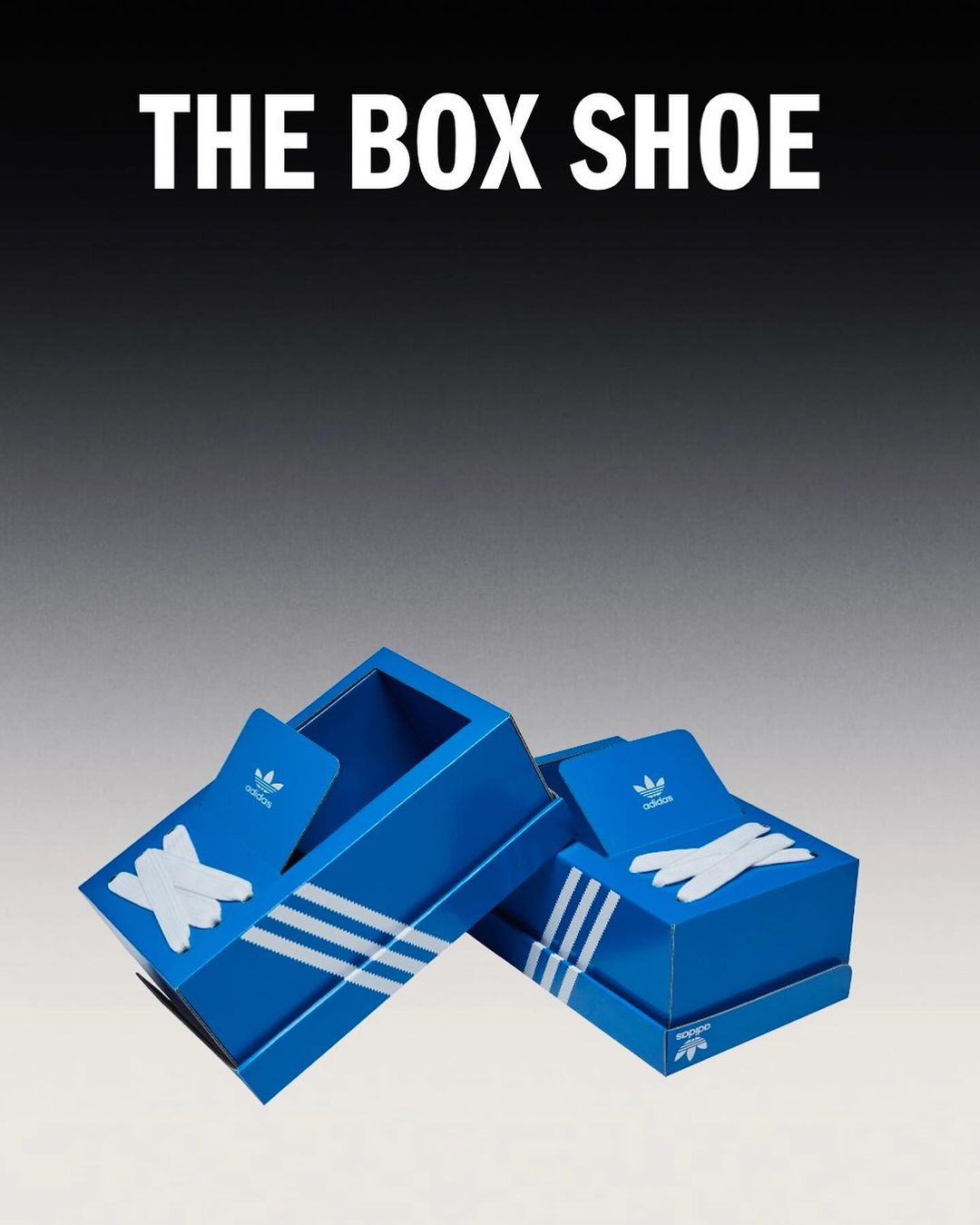 The Box Shoe,三叶草  三叶草官方整活儿！这双「怪鞋」你敢穿吗？