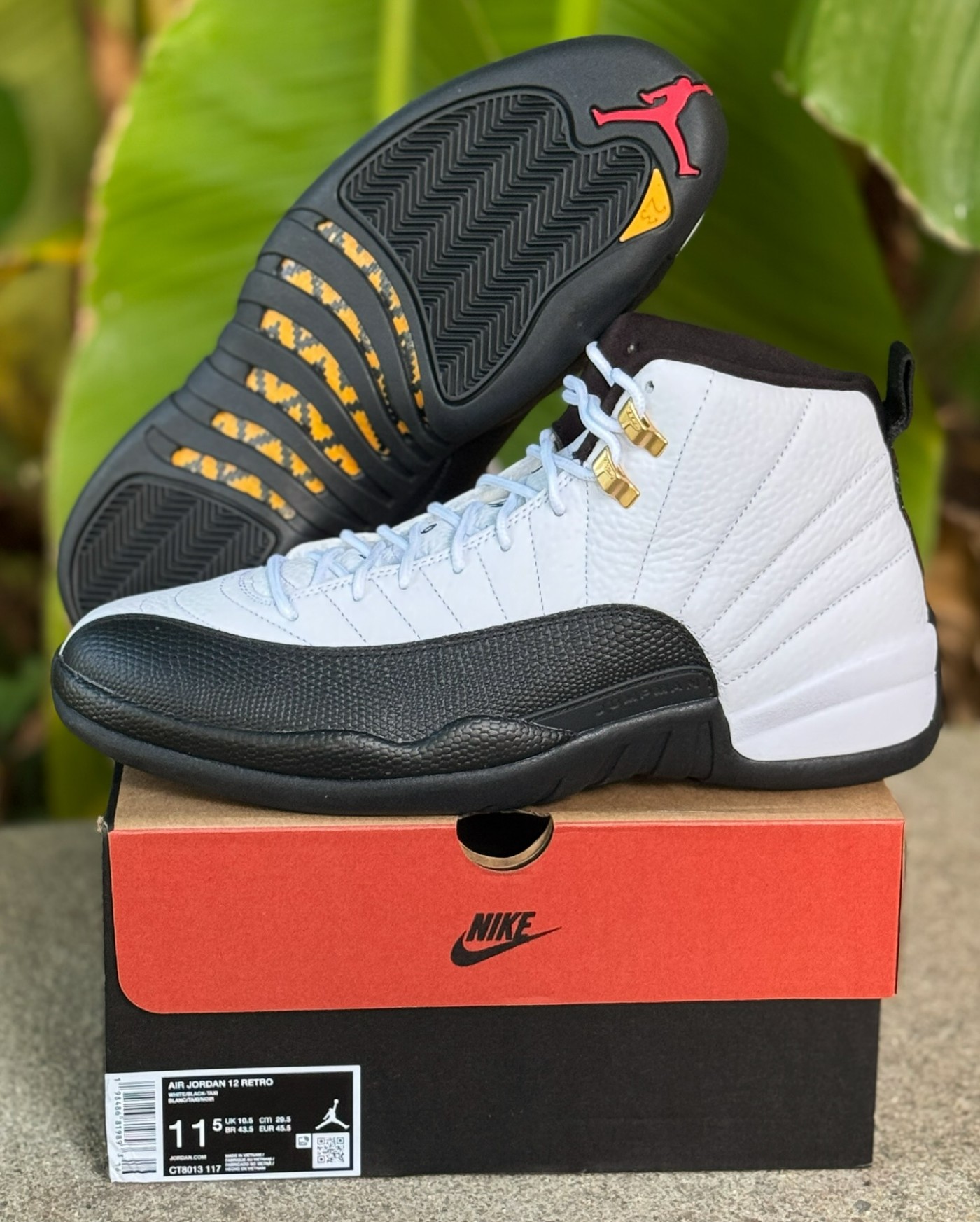 AJ,Air Jordan 12,Taxi,CT8013-1 实物首次曝光!「金扣」AJ12 满意吗? AJ,Air Jordan 12,Taxi,CT8013-1 实物首次曝光!「金扣」AJ12 满意吗?