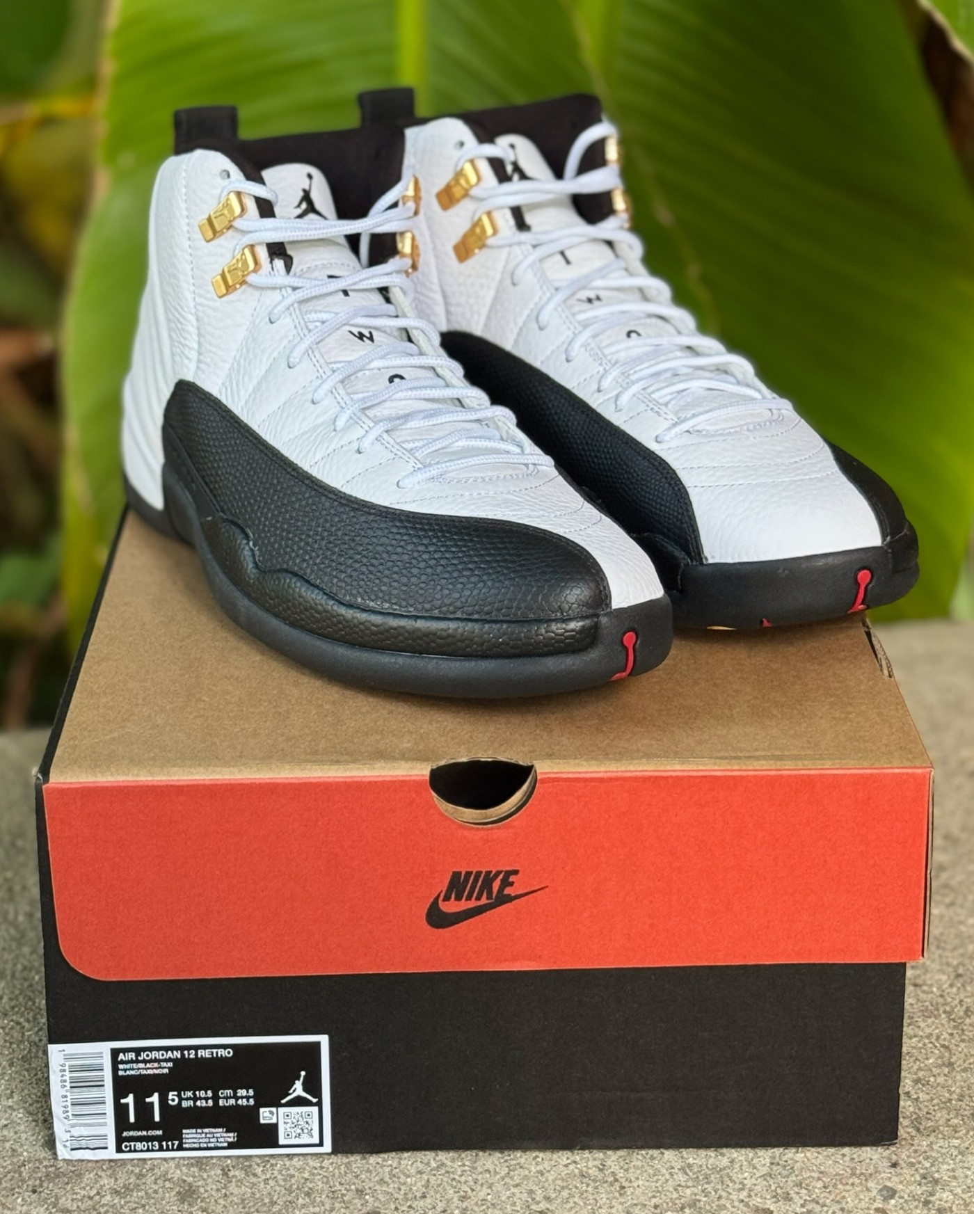AJ,Air Jordan 12,Taxi,CT8013-1 实物首次曝光!「金扣」AJ12 满意吗? AJ,Air Jordan 12,Taxi,CT8013-1 实物首次曝光!「金扣」AJ12 满意吗?
