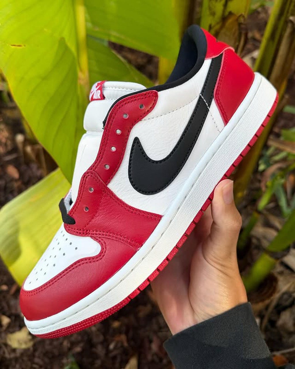 Air Jordan 1 Low OG,Chicago,HQ 芝加哥 AJ1 Low 又有新实物!质感真不错! Air Jordan 1 Low OG,Chicago,HQ 芝加哥 AJ1 Low 又有新实物!质感真不错!