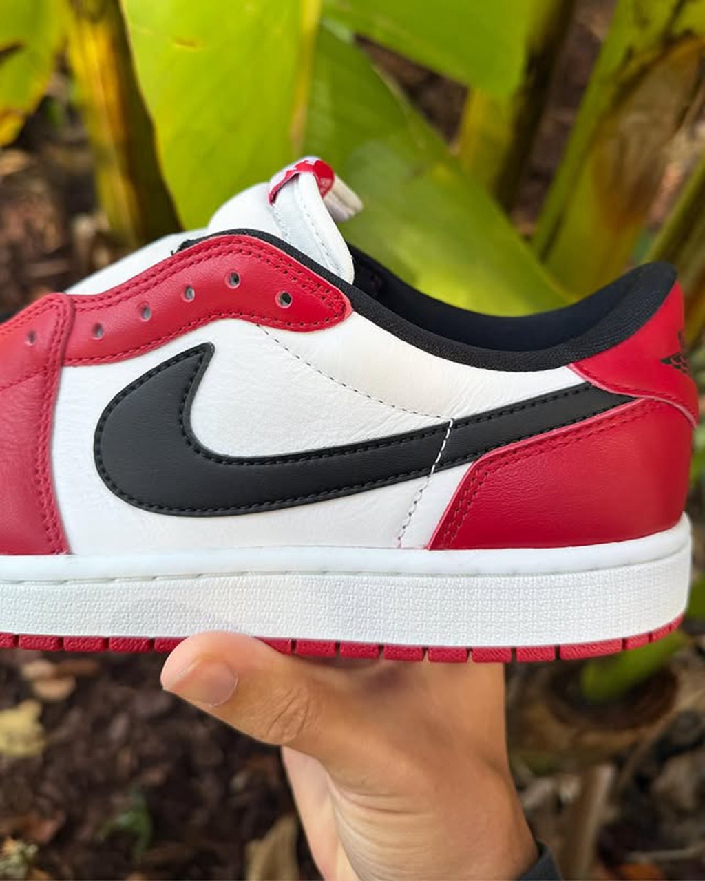 Air Jordan 1 Low OG,Chicago,HQ 芝加哥 AJ1 Low 又有新实物!质感真不错! Air Jordan 1 Low OG,Chicago,HQ 芝加哥 AJ1 Low 又有新实物!质感真不错!