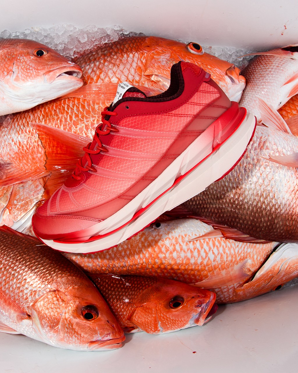 Sneaker Politics,adidas,Adista 阿迪「新联名鞋」悄悄发布!型录大片出炉! Sneaker Politics,adidas,Adista 阿迪「新联名鞋」悄悄发布!型录大片出炉!