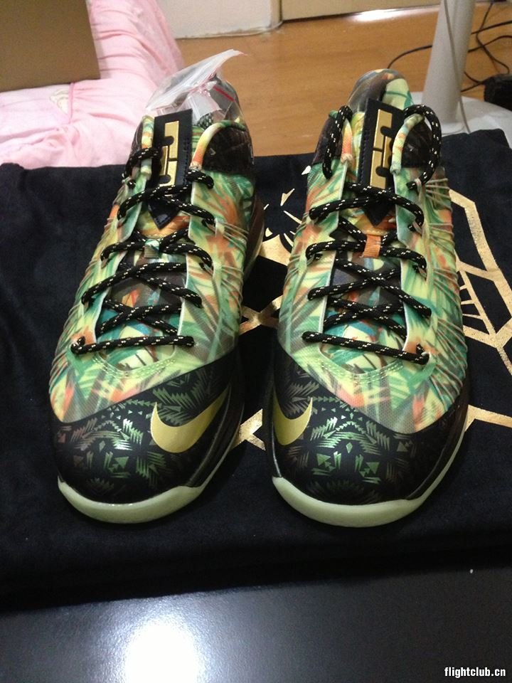 lebron  网友实拍 LEBRON CELEBRATION PACK 詹姆斯2013冠军套装