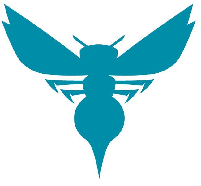 夏洛特黄蜂新队标穿着airjordan11concord