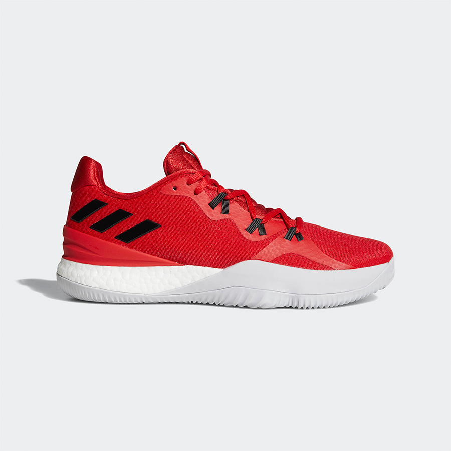 crazylight 2018