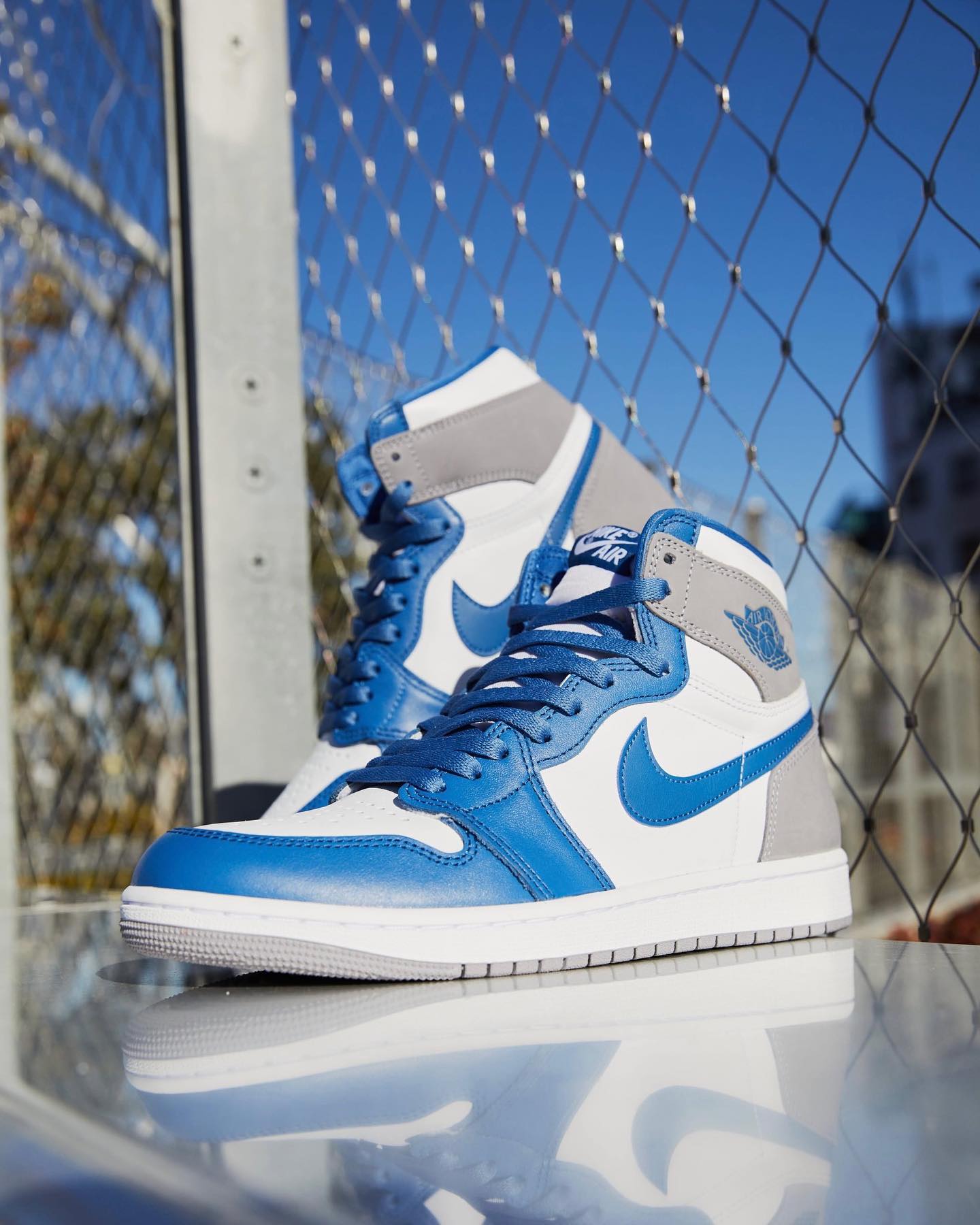 nike dunk low sp retro ceramic