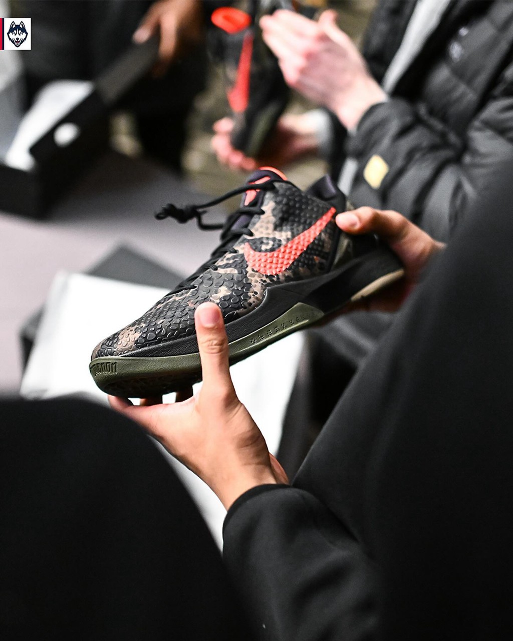 Nike,Kobe 6 Protro,Italy Camo,  瓦妮莎送福利！这帮人率先喜提 Kobe 6！