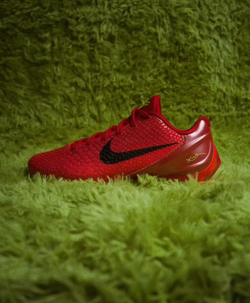 瓦妮莎,Kobe 6,橄榄球  瓦妮莎亲晒！圣诞节还有 Kobe 新鞋！？