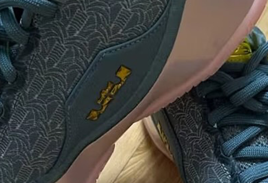 Nike,LeBron 23  居然是「双版本」！？詹姆斯亲晒 LBJ23！信息量太大了！